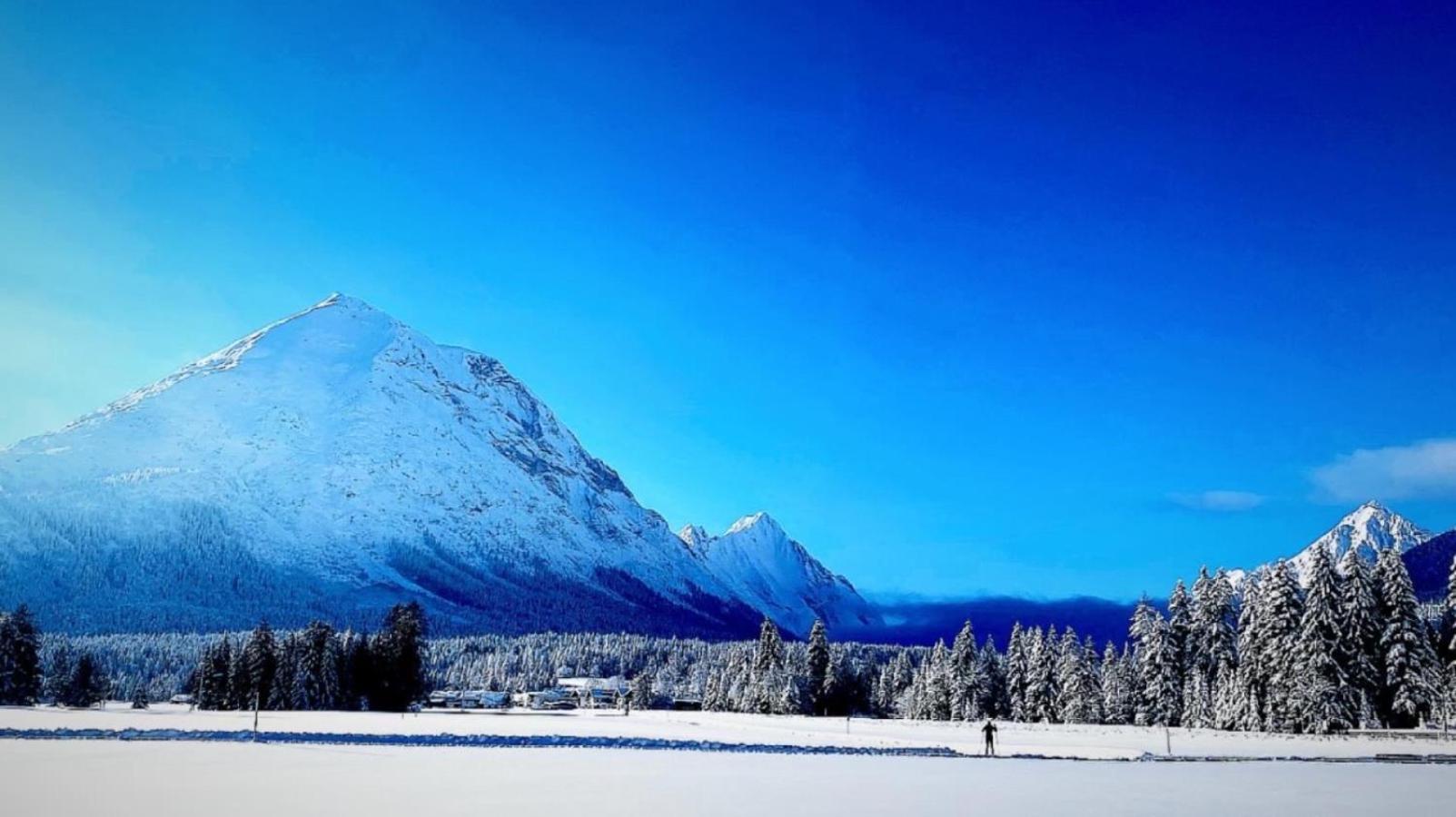 Mountain Apart Katzenkopf Leutasch Εξωτερικό φωτογραφία